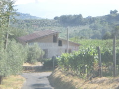 Vendita fabbricato agricolo/residenziale da rifinire con terreno,  Olevano Romano