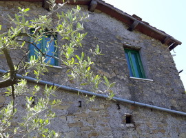 Vendita casale su due livelli in campagna con terreno a Olevano Romano