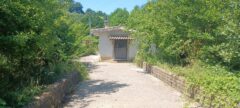 Vendita locale magazzino con terreno a Olevano Romano