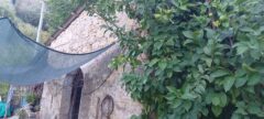 Vendita casaletto in pietra con terreno a Olevano Romano