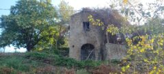 Vendita tre casaletti in pietra con comodo terreno a Olevano Romano